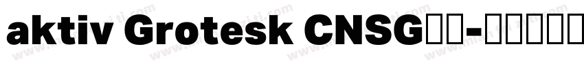 aktiv Grotesk CNSG字体字体转换